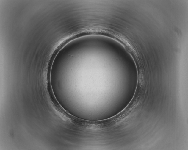 X0000113130438200909041150