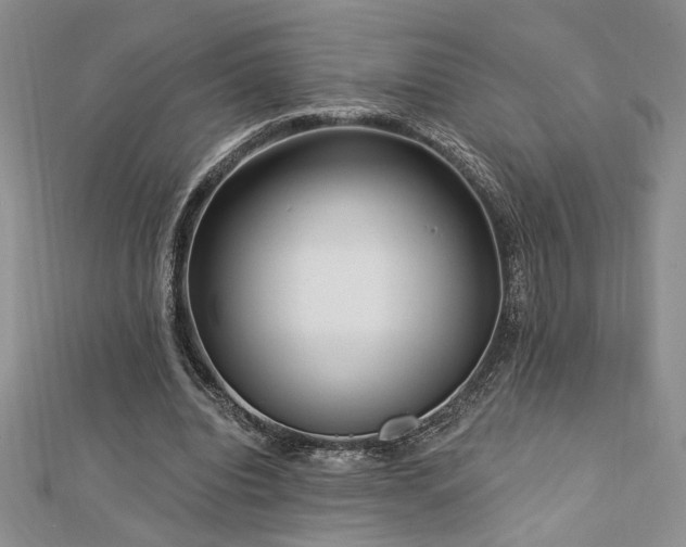 X0000113130440200909041150