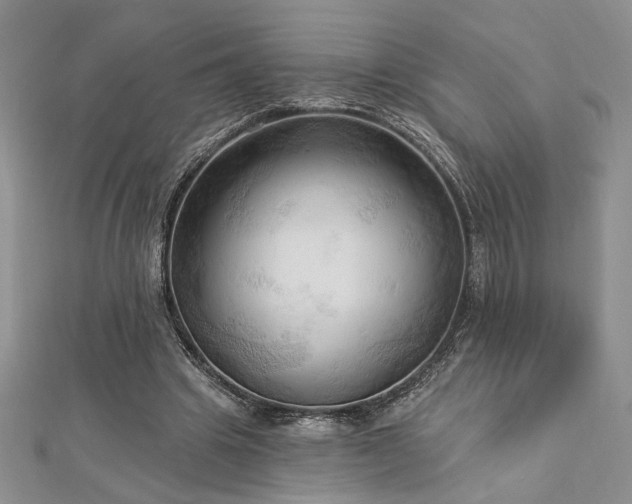 X0000113130441200909041150