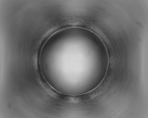 X0000113130442200909041150