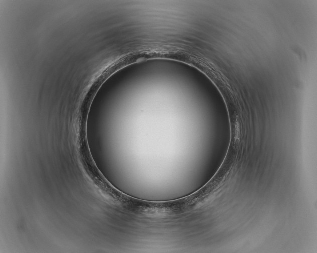 X0000113130444200909041150