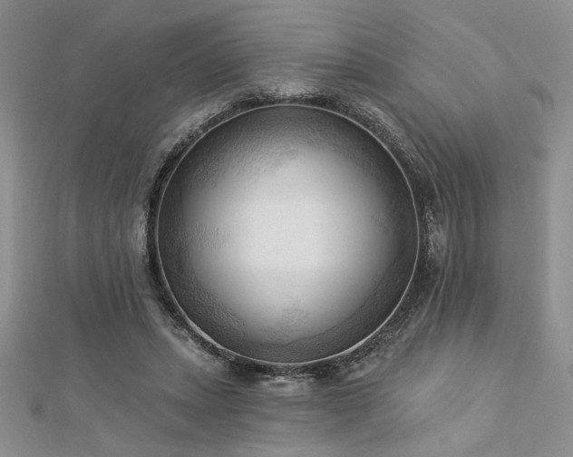 X0000113130447200909041150