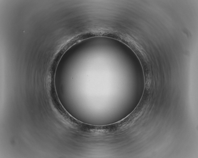 X0000113130448200909041150