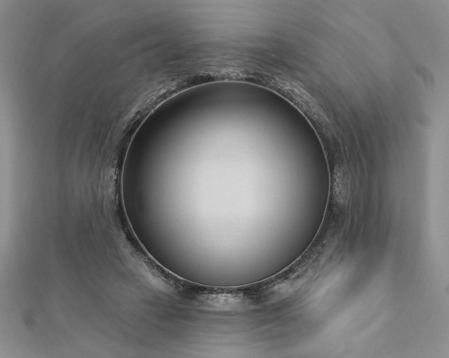 X0000113130449200909041150