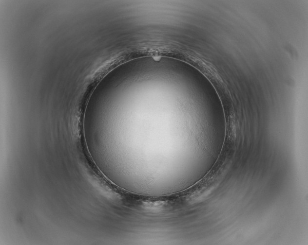 X0000113130450200909041150