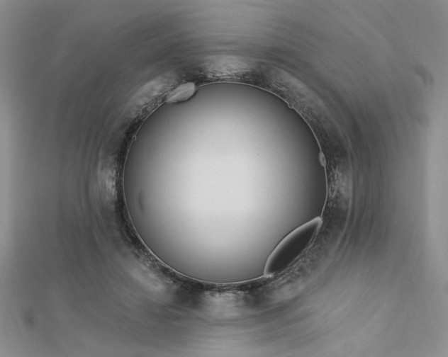 X0000113130452200909041150