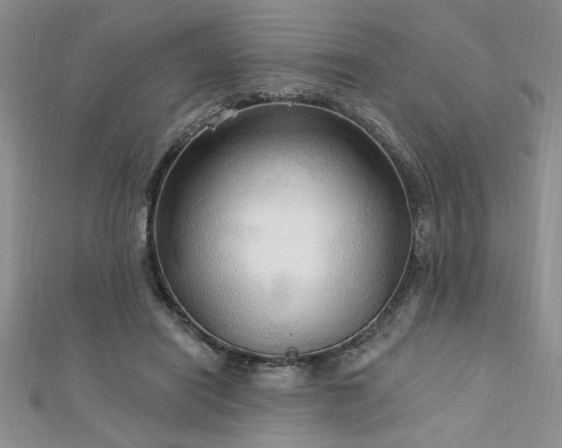 X0000113130454200909041151