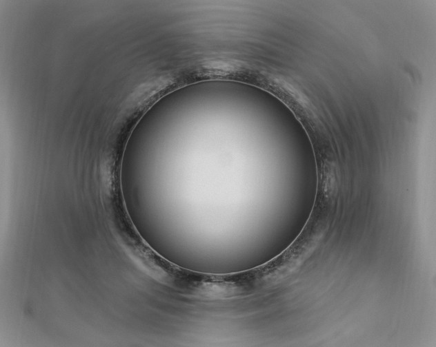 X0000113130455200909041151