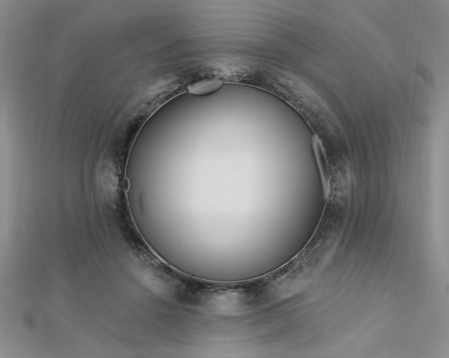 X0000113130456200909041151
