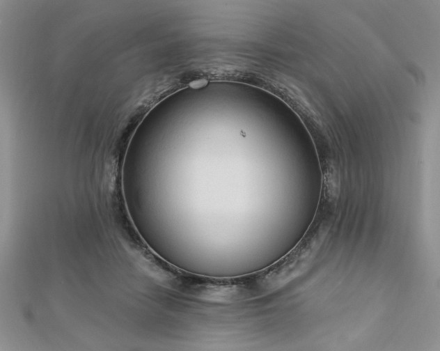 X0000113130458200909041151
