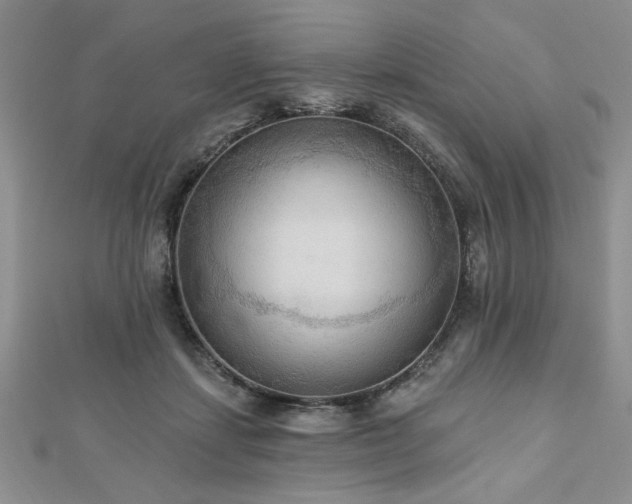 X0000113130459200909041151