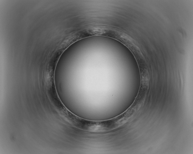 X0000113130460200909041151