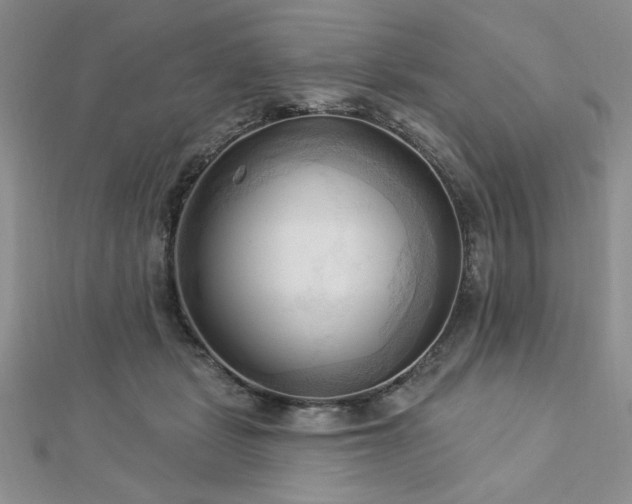 X0000113130461200909041151
