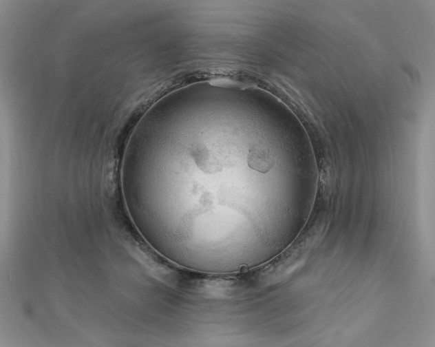 X0000113130462200909041151