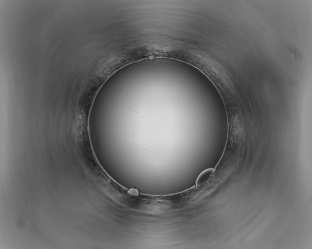 X0000113130463200909041151