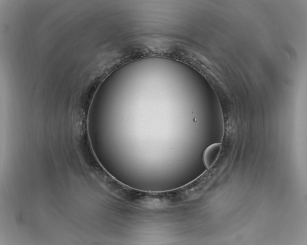 X0000113130464200909041151
