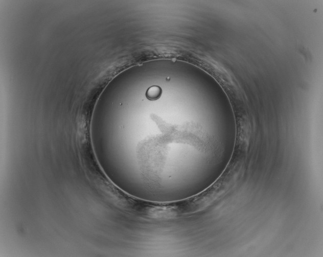 X0000113130465200909041151