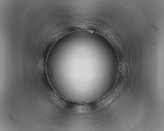 X0000113130466200909041151