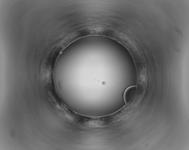 X0000113130468200909041151