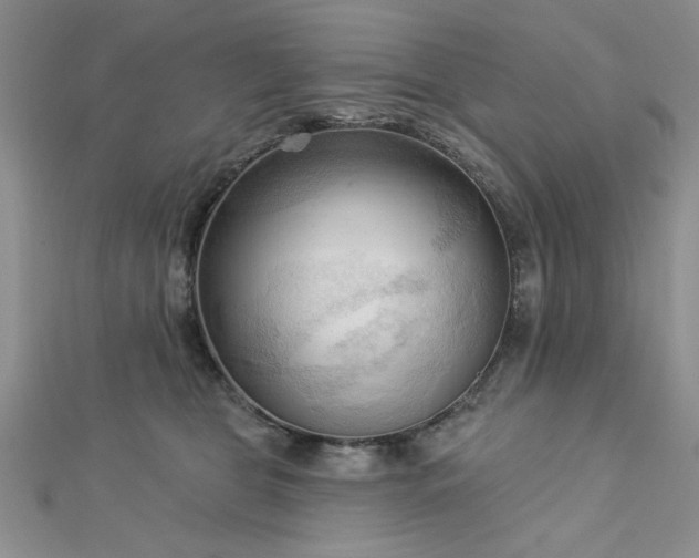 X0000113130469200909041151