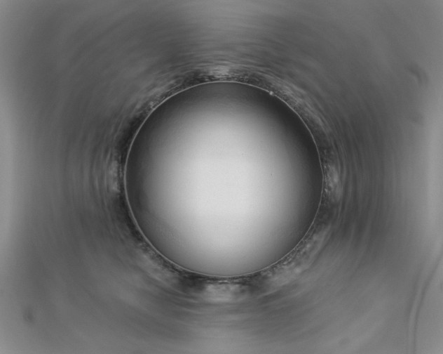 X0000113130470200909041151