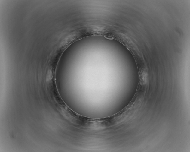 X0000113130472200909041151