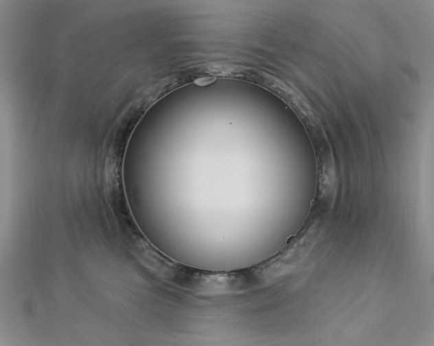 X0000113130473200909041151