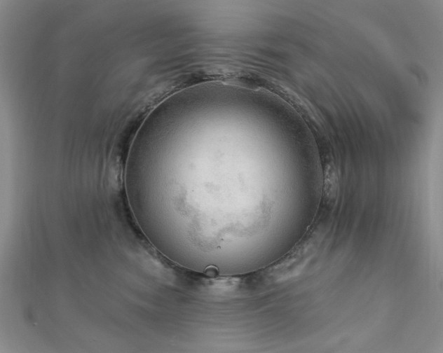 X0000113130474200909041151