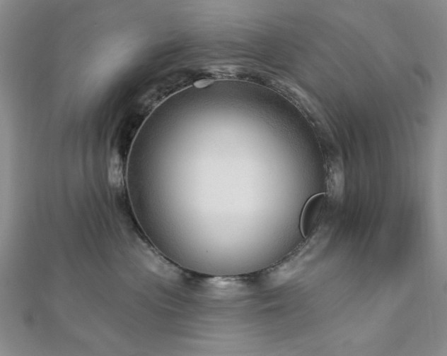 X0000113130477200909041151