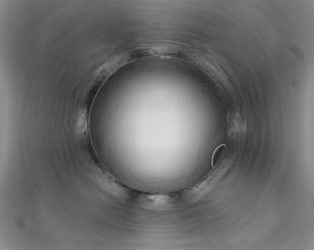 X0000113130478200909041151