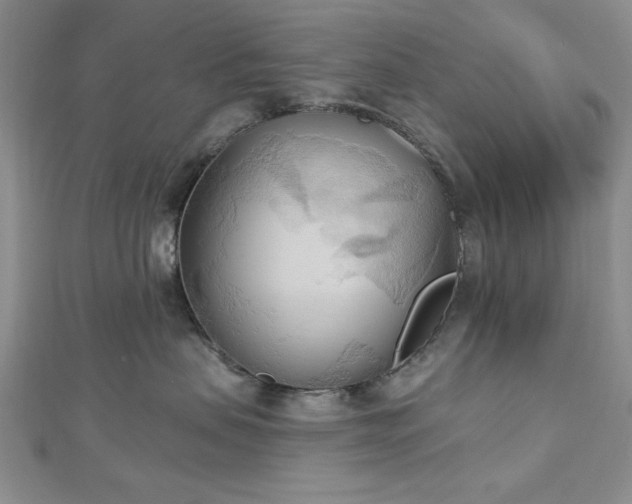 X0000113130479200909041151