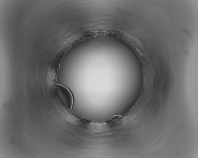 X0000113130480200909041151
