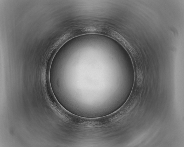 X0000113130482200909041150