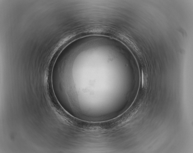 X0000113130483200909041150