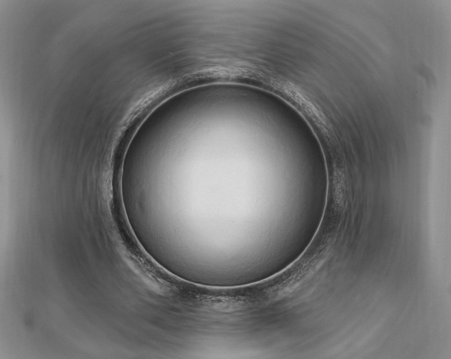 X0000113130486200909041150