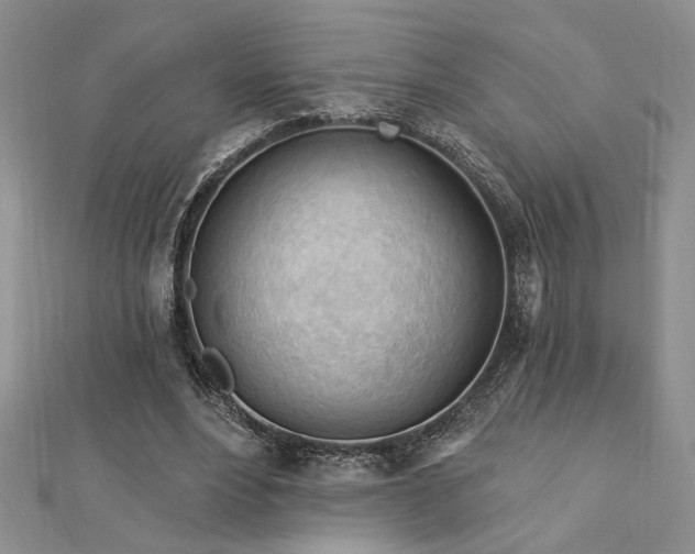 X0000113130488200909041150