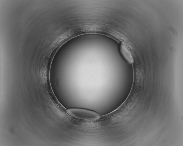 X0000113130489200909041150