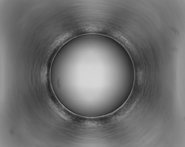 X0000113130490200909041150