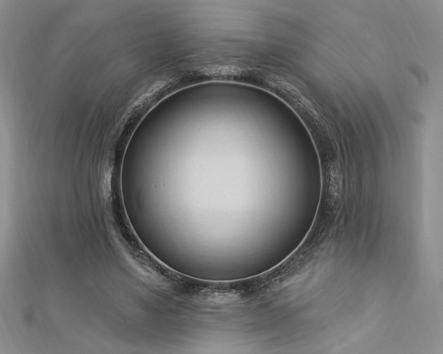 X0000113130491200909041150