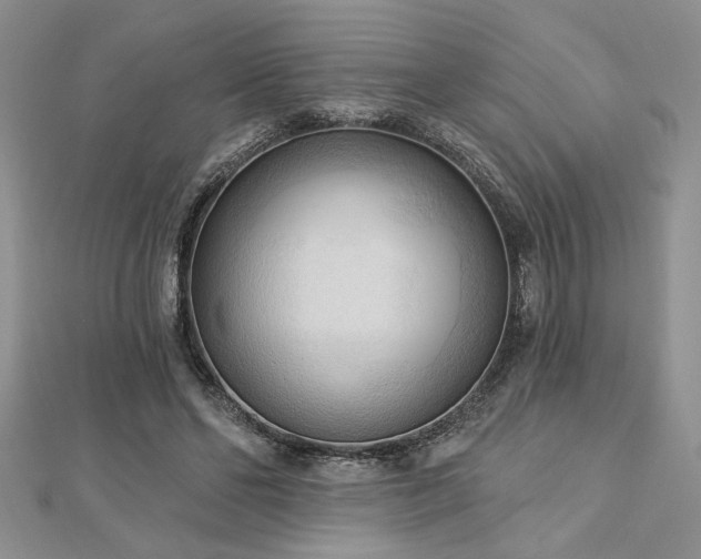 X0000113130494200909041150
