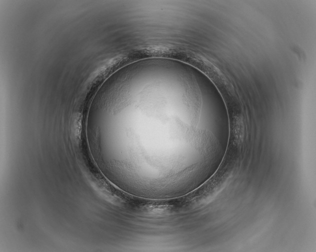 X0000113130495200909041150