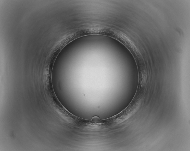 X0000113130497200909041150