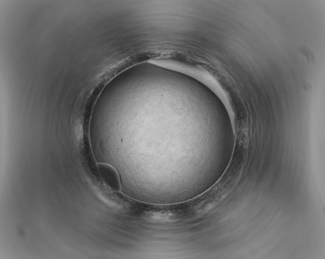 X0000113130500200909041150
