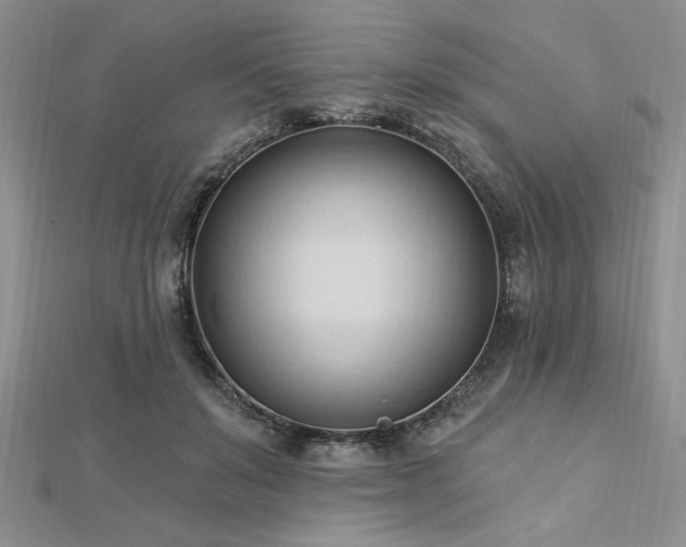 X0000113130503200909041150