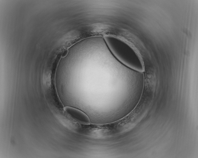 X0000113130504200909041150