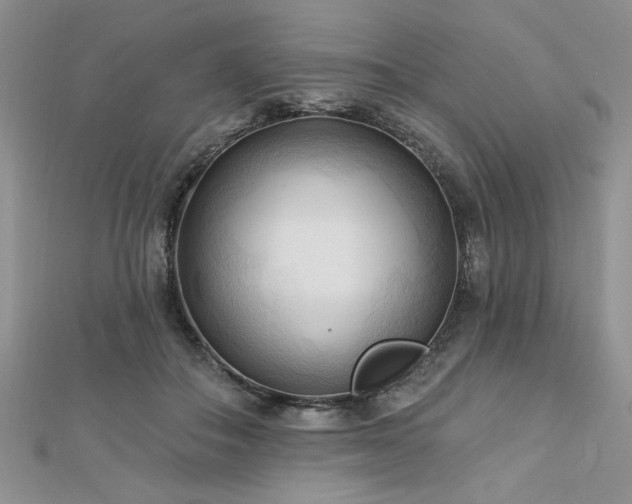 X0000113130506200909041150