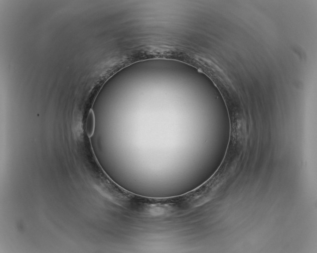 X0000113130508200909041150