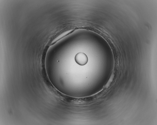 X0000113130512200909041150