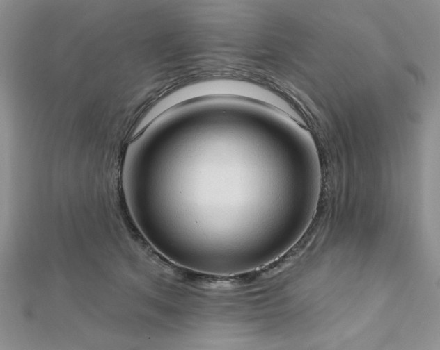 X0000113130513200909041150