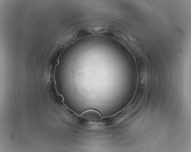 X0000113130515200909041150